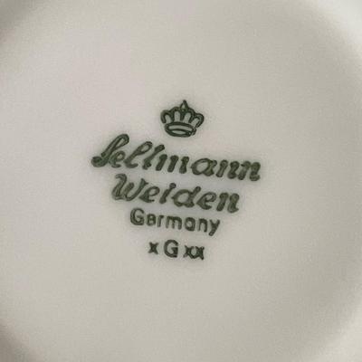 Seltmann-Weiden Germany & 11 place settings along w 11 American Airlines bread plates
