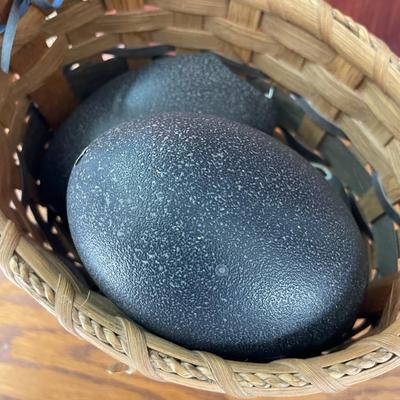 Handmade Basket with Emu Eggs