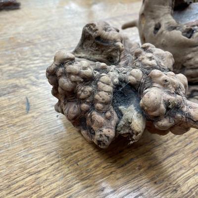 Burled Wood Knots