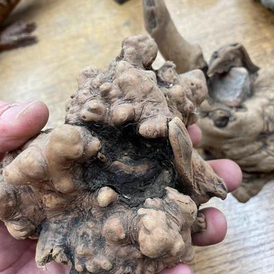 Burled Wood Knots