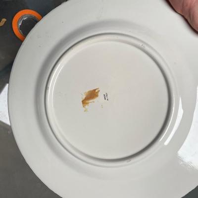 Italian 10â€ Dish
