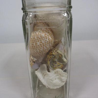 Assortment Of Shells in a Glass Jar