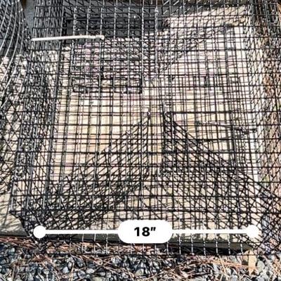 S2171 Pair of Epoxy Coated Wire Crab Keepers