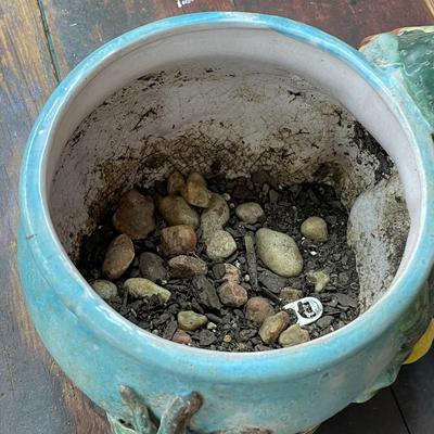 Cockateel Planter