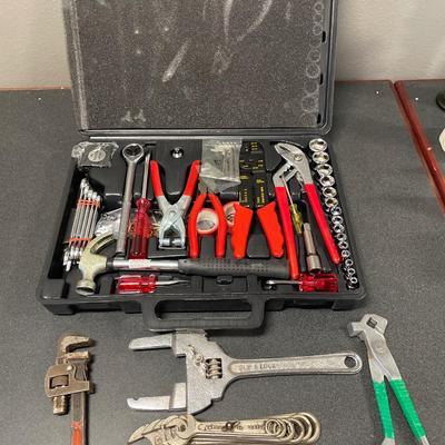 Tool kit with tools
