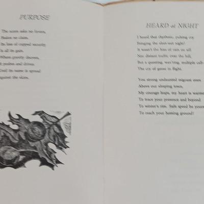 Two RARE books / Bindings Rich Man, Poor Man & The Chickadees Come and other Poems Signed - First Edition - 1977