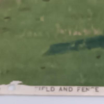 Collection of vintage Pictures / litho's