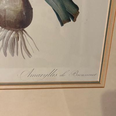 Six Framed Botanical Prints (BS-MK)