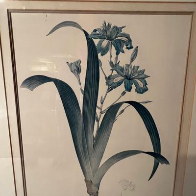 Six Framed Botanical Prints (BS-MK)