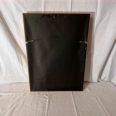 Six Framed Botanical Prints (BS-MK)