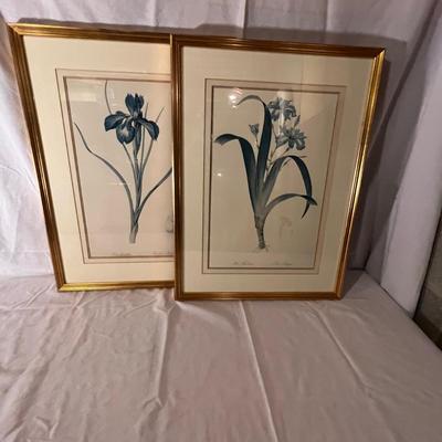 Six Framed Botanical Prints (BS-MK)