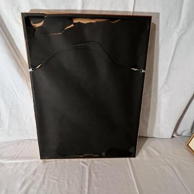 Six Framed Botanical Prints (BS-MK)