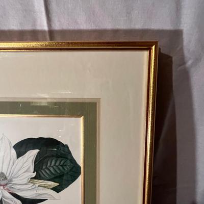 Six Framed Botanical Prints (BS-MK)