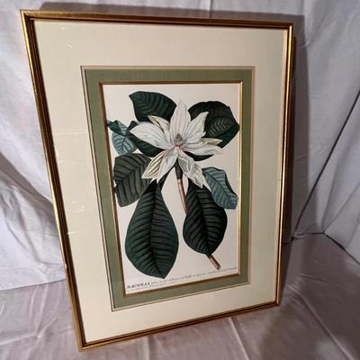 Six Framed Botanical Prints (BS-MK)