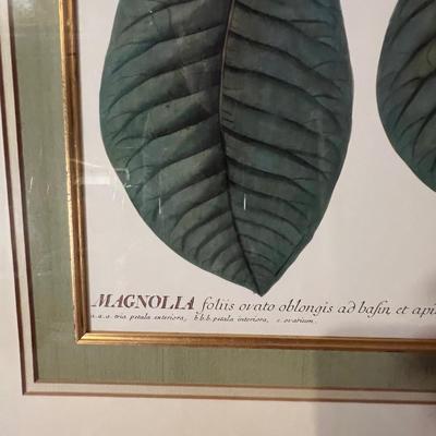Six Framed Botanical Prints (BS-MK)