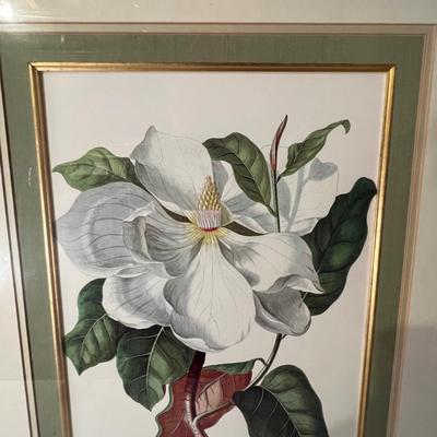 Six Framed Botanical Prints (BS-MK)
