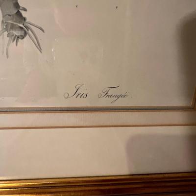 Six Framed Botanical Prints (BS-MK)