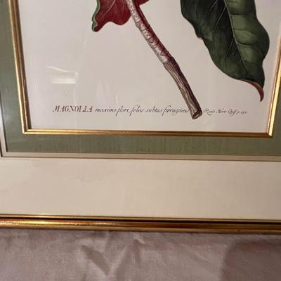Six Framed Botanical Prints (BS-MK)