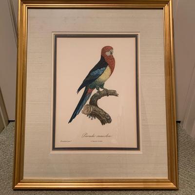 Framed Jacques Barraband Bird Prints (UH-KW)