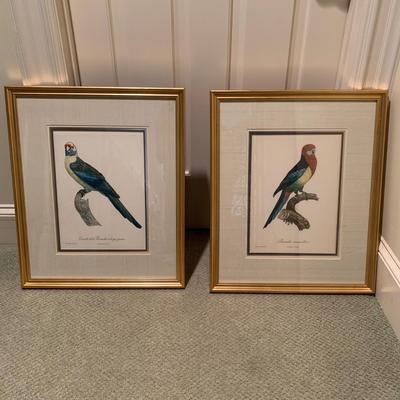 Framed Jacques Barraband Bird Prints (UH-KW)