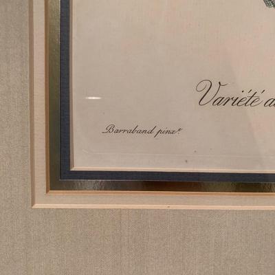 Framed Jacques Barraband Bird Prints (UH-KW)