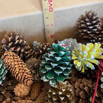 Box of painted pine cones
