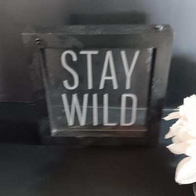 Light up STAY WILD framed decorative sign and faux white flowers