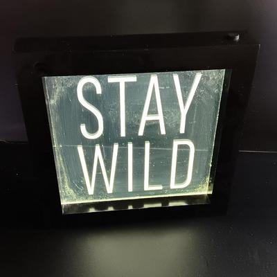 Light up STAY WILD framed decorative sign and faux white flowers