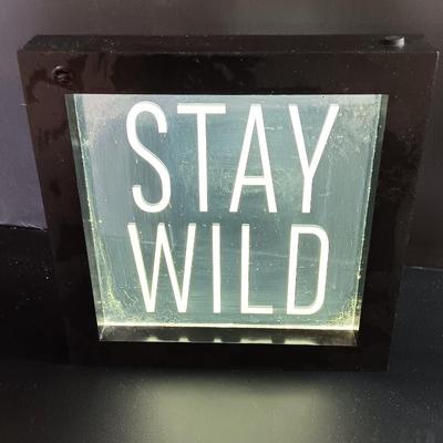 Light up STAY WILD framed decorative sign and faux white flowers