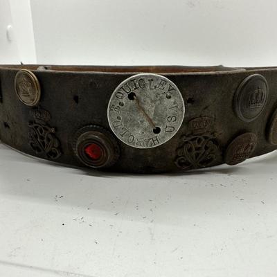 WWI â€œHate Beltâ€