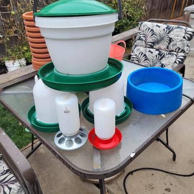 Chicken Feeders, Waterers, & Heated Water Bowl