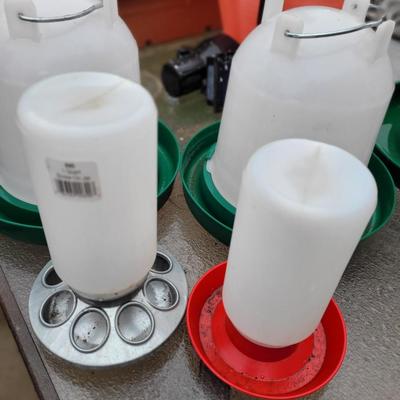 Chicken Feeders, Waterers, & Heated Water Bowl
