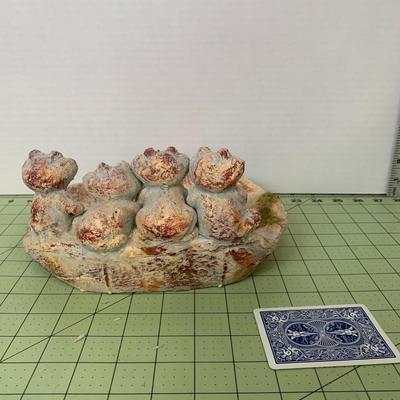 Seashell Assortment with Frog Plate