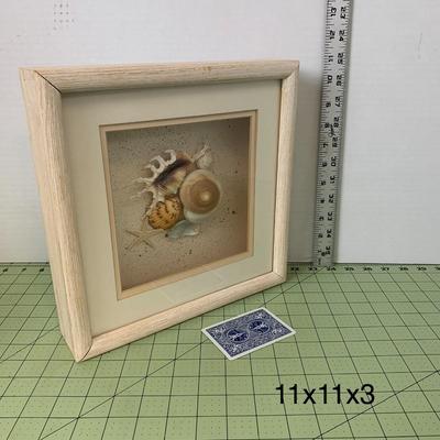 Framed Seashell Wall Art