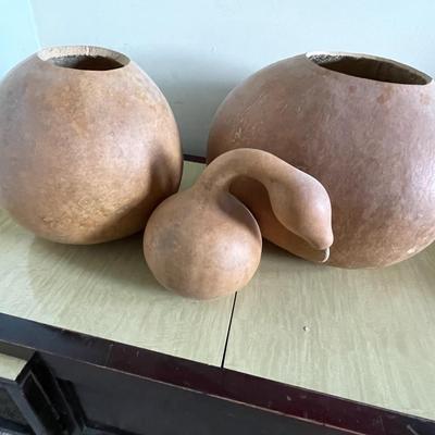 3 Gourds Ready for Art