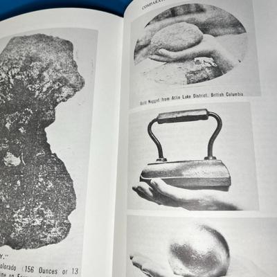 "BLASTED BELOVED BRECKENRIDGE" COLORADO BOOK