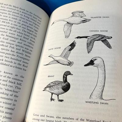 "FEATHERS AND FLIGHT" BOOK by CLARENCE J. HYLANDER