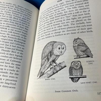 "FEATHERS AND FLIGHT" BOOK by CLARENCE J. HYLANDER