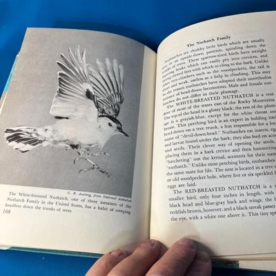 "FEATHERS AND FLIGHT" BOOK by CLARENCE J. HYLANDER