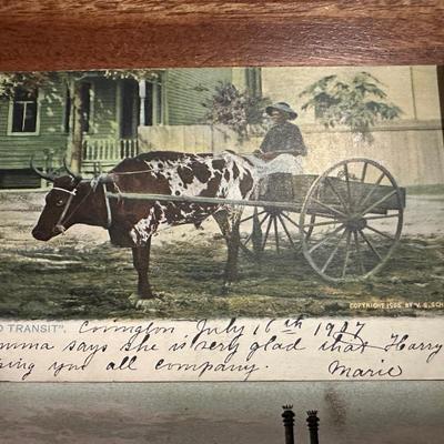 Early 1900â€™s Postcards