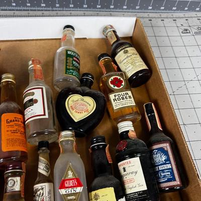 Vintage Mini Bottle Collection 