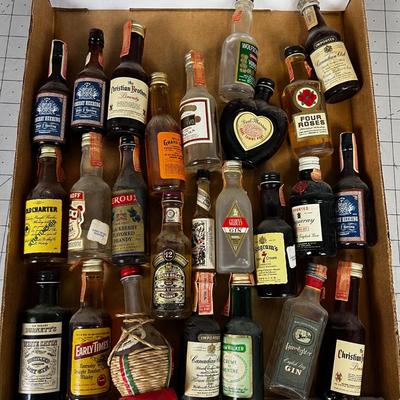 Vintage Mini Bottle Collection 