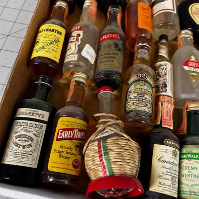 Vintage Mini Bottle Collection 