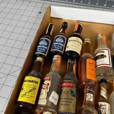 Vintage Mini Bottle Collection 
