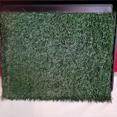 Dog Potty Padw/Grass