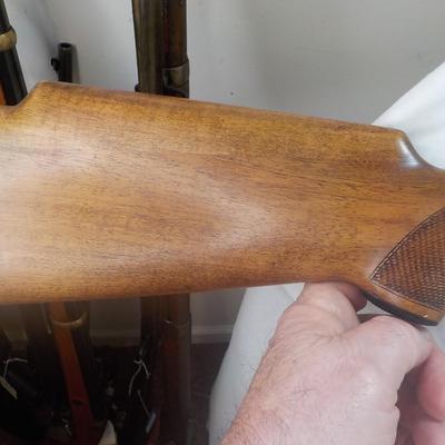 " Companion single shot SKEET 12 ga. Magnum shot gun, made in Italy.  Est.. $175 to $250.