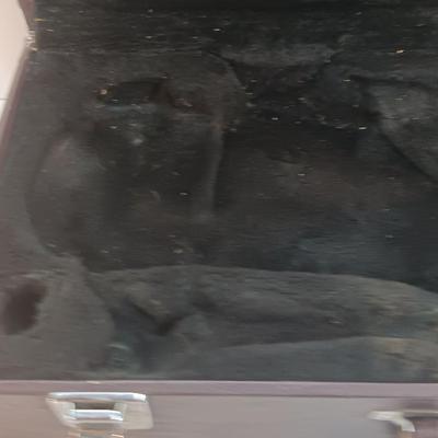 Yamaha Instrument case