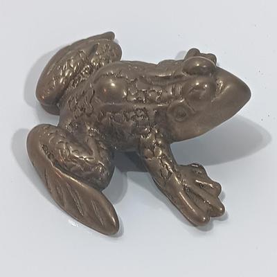 Brass frog with climbing brass frog brooch