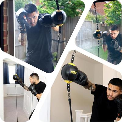 GyroFitness Doorway Double End Bag (New in Box)
