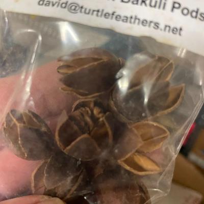 Shelf 50 Inventory 2 Boxes of Australian Bakuli Pods